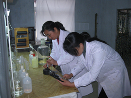 2011060909362352247.jpg